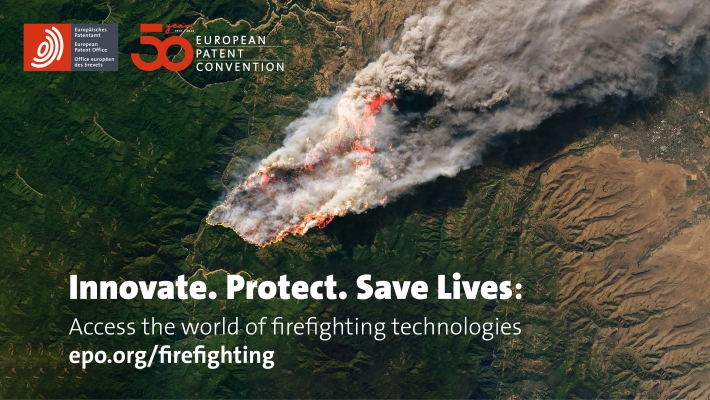 Lutte contre les feux de forêts : Nouvelle plateforme de l'OEB pour le partage de connaissances (communiqué)